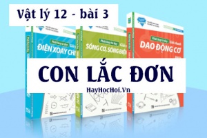 Con lắc đơn, chu kỳ, tần số, thế năng của con lắc đơn và bài tập có lời giải - Vật lý 12 bài 3